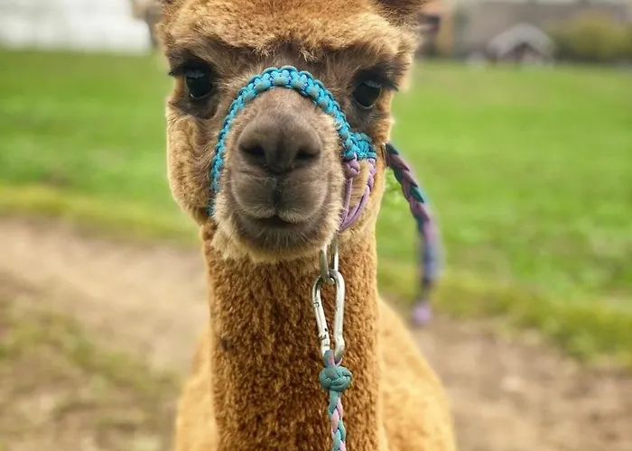 Idyllic House In 2 Bedroom Prázdninový dům Hurdal