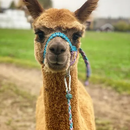 Idyllic House In 2 Bedroom Сasa de vacaciones Hurdal